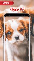 برنامه‌نما Puppy Wallpaper عکس از صفحه