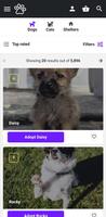 PuppiesNation - Adopt a Dog ภาพหน้าจอ 3