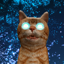 แมวและเลเซอร์ APK