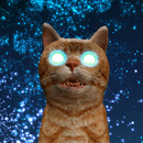 Les chats et les lasers APK