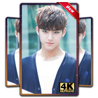 Kim Mingyu Seventeen Wallpapers KPOP Fans HD icône