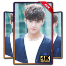 Kim Mingyu Seventeen Wallpapers KPOP Fans HD APK