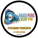 FULL RADIOS DEL SUR APK