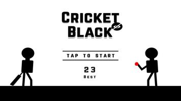 Blind Cricket Black تصوير الشاشة 2