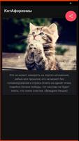 КотАфоризмы ảnh chụp màn hình 1
