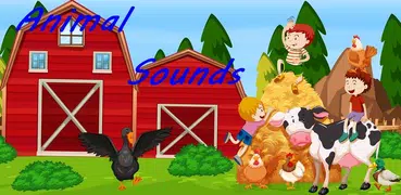 Animal Sounds