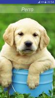 Sonidos de Animales captura de pantalla 2