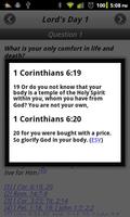 Heidelberg Catechism 截图 3