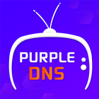 Purple DNS icône