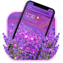 Purple flower theme APK
