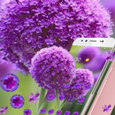 Purple Natural Flower Theme APK