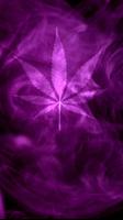 Marijuana Live Wallpaper - Pur capture d'écran 1