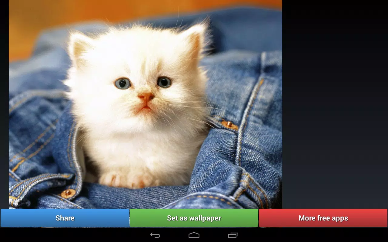 Android 用の かわいい猫壁紙 Apk をダウンロード