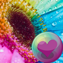 Подсолнухи Обои APK