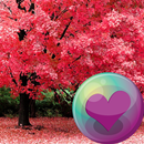 Розовый цвет Обои APK