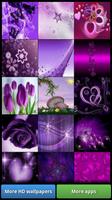 Lovely Purple HD Wallpapers الملصق