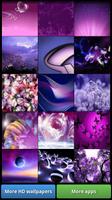 Lovely Purple HD Wallpapers تصوير الشاشة 2