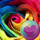 Beautiful Roses HD Wallpapers APK