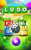 Ludo Winner постер