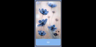 Flower App پوسٹر