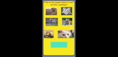 Ashley Wong Spelling app screenshot 2
