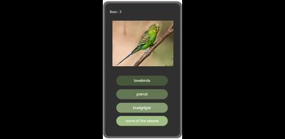 Quiz App screenshot 3