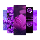 Purple HD Wallpapers APK