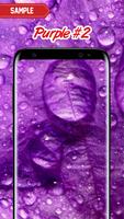 Purple Wallpaper Ekran Görüntüsü 1
