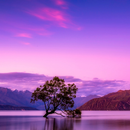 Purple Wallpaper 4K APK