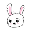 Save Rabbit : Run away game
