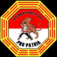 IKS Pro Patria 海报
