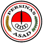 Persinas Asad ไอคอน