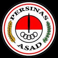 Persinas Asad poster