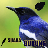 Koleksi Suara Burung icône