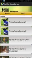 Koleksi Suara Burung 포스터