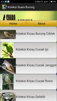 Koleksi Suara Burung Screenshot 1