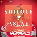 Shilole Feat Aslay - Ukintekenya-APK