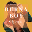 Burna Boy - On The Low