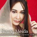 Album Sunda Pop Ning-Mei Full APK
