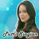Putri Siagian Lagu Rohani MP3 APK