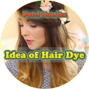 The Idea of ​​Hair Dye APK