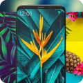 ScreenStyle Wallpapers