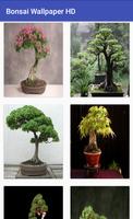 Bonsai Wallpaper HD ảnh chụp màn hình 3