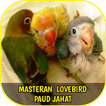 Master Lovebird Paud Jahat Offline