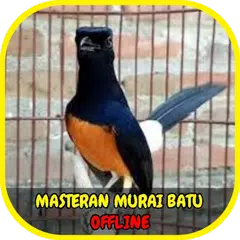 Masteran Murai Batu Roll Speed Offline APK download