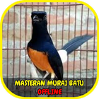 Masteran Murai Batu Roll Speed simgesi