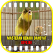 Masteran Kenari Dahsyat Ngerol Panjang Offline