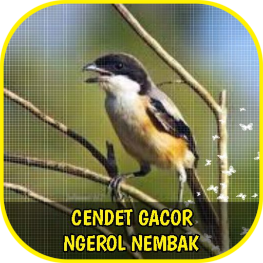 Cendet Gacor Ngerol Nembak Offline