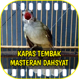 Kapas Tembak Masteran Dahsyat biểu tượng