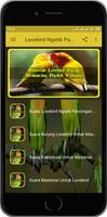 Lovebird Ngetik Pancingan Screenshot 1